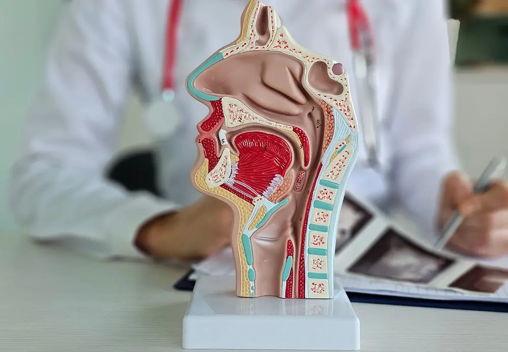 An ENT specialist addressing a patient’s persistent throat symptoms