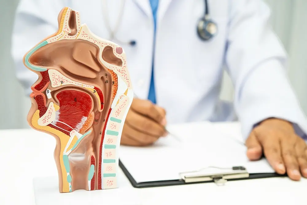 A consultation with an ENT specialist for voice disorder treatment