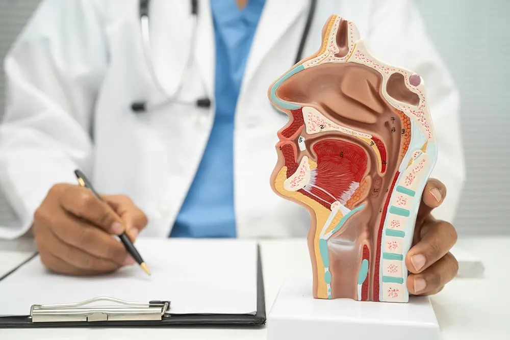 A consultation at an ENT specialist clinic for chronic sinusitis management