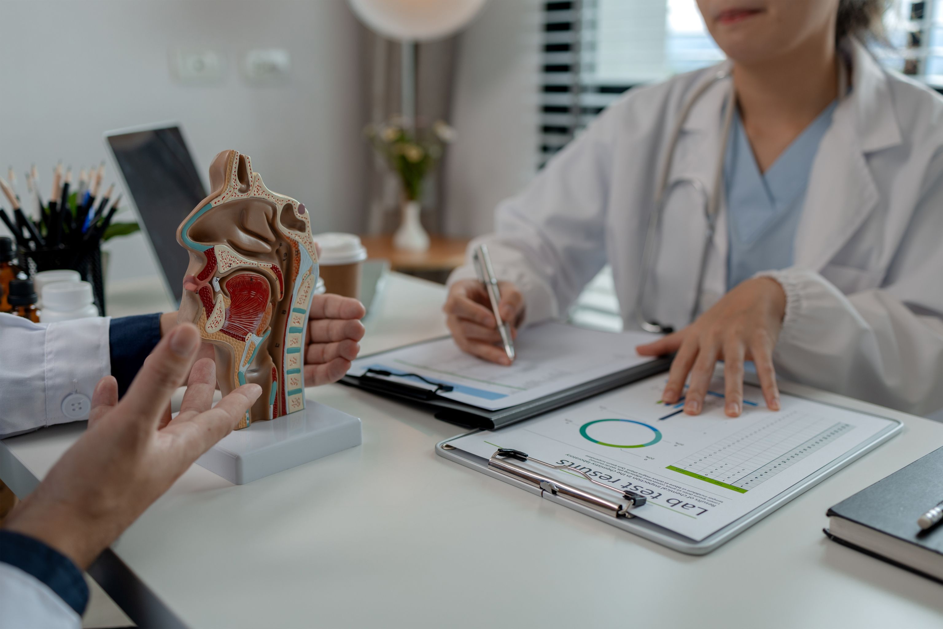 A doctor holding an anatomical model of an ear.