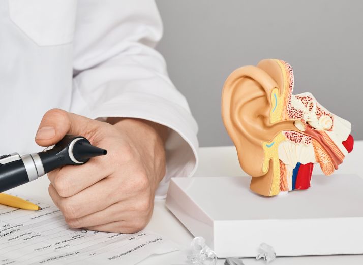 Paediatric ENT surgeon